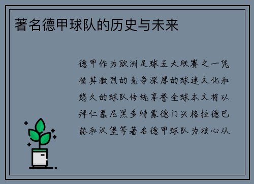 著名德甲球队的历史与未来